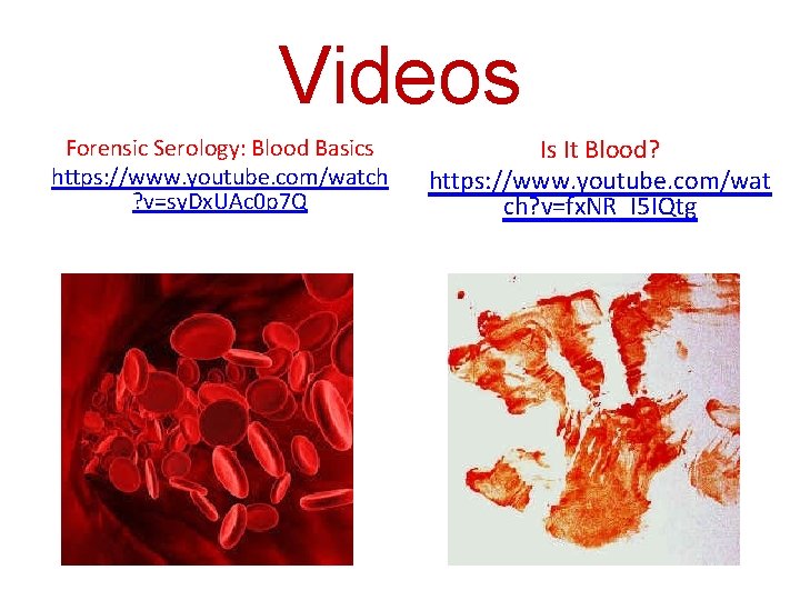 Videos Forensic Serology: Blood Basics https: //www. youtube. com/watch ? v=sy. Dx. UAc 0