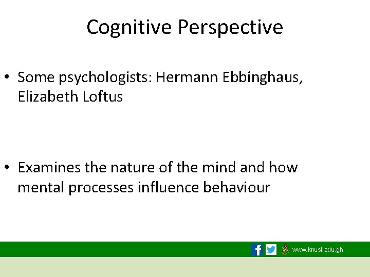 Cognitive Perspective • Some psychologists: Hermann Ebbinghaus, Elizabeth Loftus • Examines the nature of