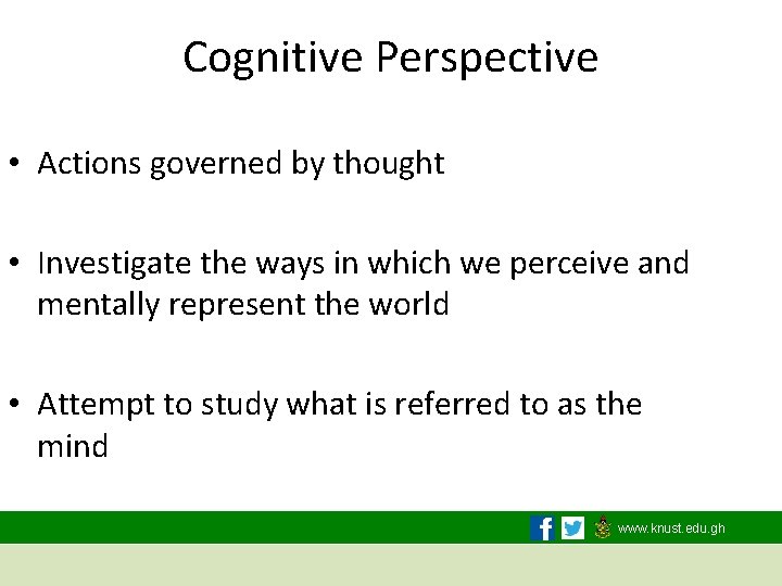 Cognitive Perspective • Actions governed by thought • Investigate the ways in which we