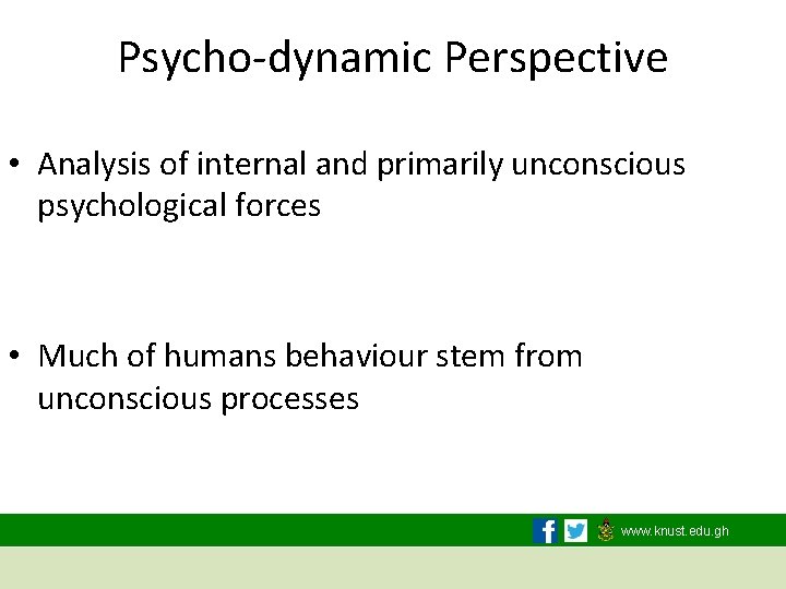 Psycho-dynamic Perspective • Analysis of internal and primarily unconscious psychological forces • Much of