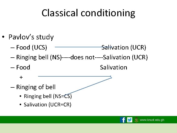 Classical conditioning • Pavlov’s study – Food (UCS) Salivation (UCR) – Ringing bell (NS)----does