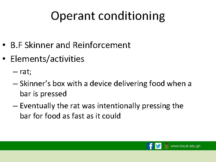 Operant conditioning • B. F Skinner and Reinforcement • Elements/activities – rat; – Skinner’s