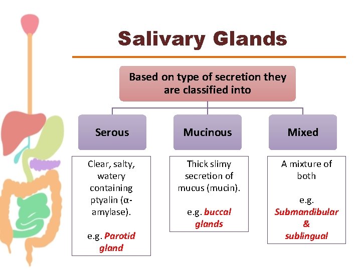 Salivary Glands Based on type of secretion they are classified into Serous Mucinous Clear,