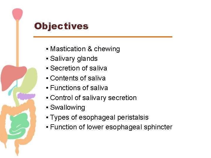 Objectives • Mastication & chewing • Salivary glands • Secretion of saliva • Contents