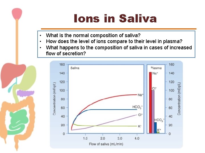 Ions in Saliva • What is the normal composition of saliva? • How does