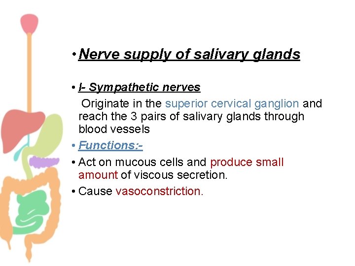  • Nerve supply of salivary glands • I- Sympathetic nerves • Originate in