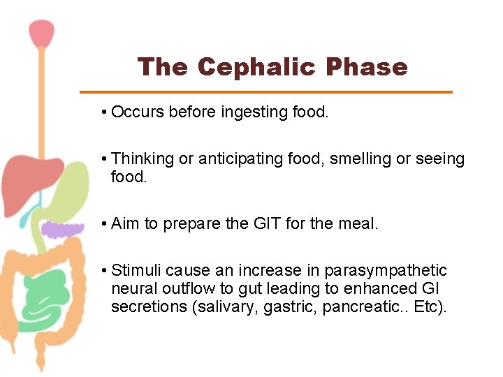 The Cephalic Phase • Occurs before ingesting food. • Thinking or anticipating food, smelling