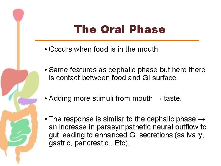 The Oral Phase • Occurs when food is in the mouth. • Same features