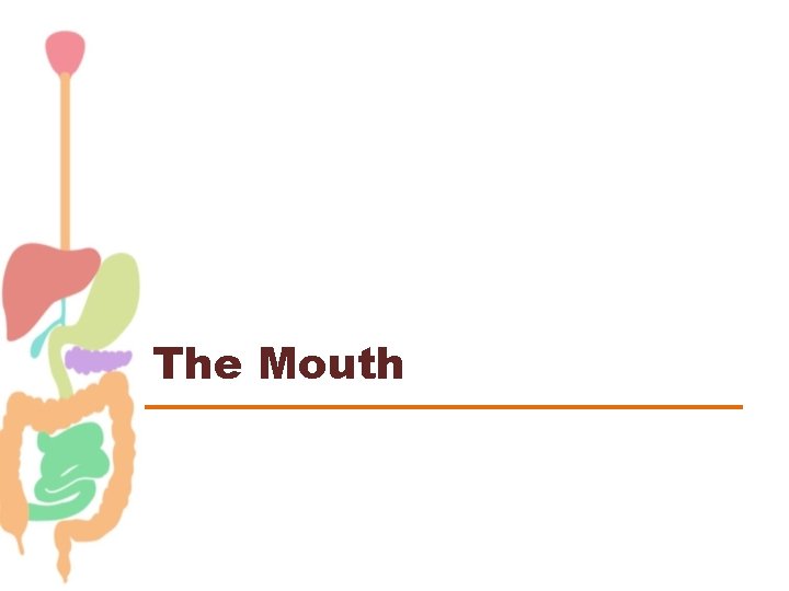 The Mouth 