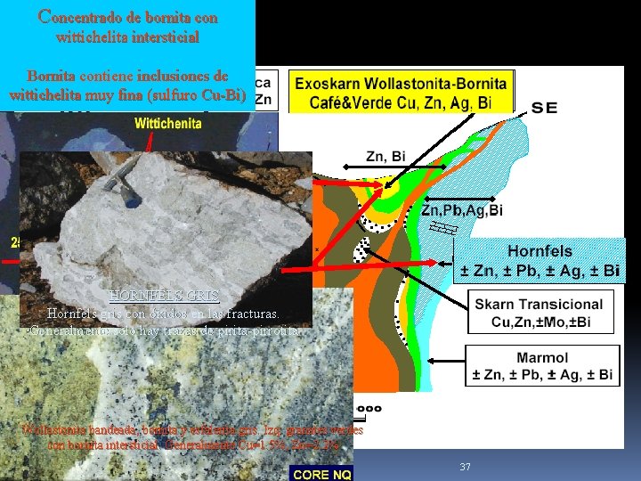 Concentrado de bornita con wittichelita intersticial Bornita contiene inclusiones de wittichelita muy fina (sulfuro