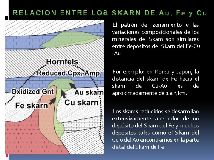 El patrón del zonamiento y las variaciones composicionales de los minerales del Skarn son