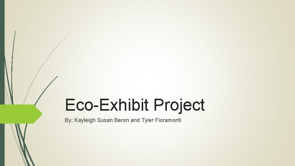 Eco-Exhibit Project By: Kayleigh Susan Beron and Tyler Fioramonti 