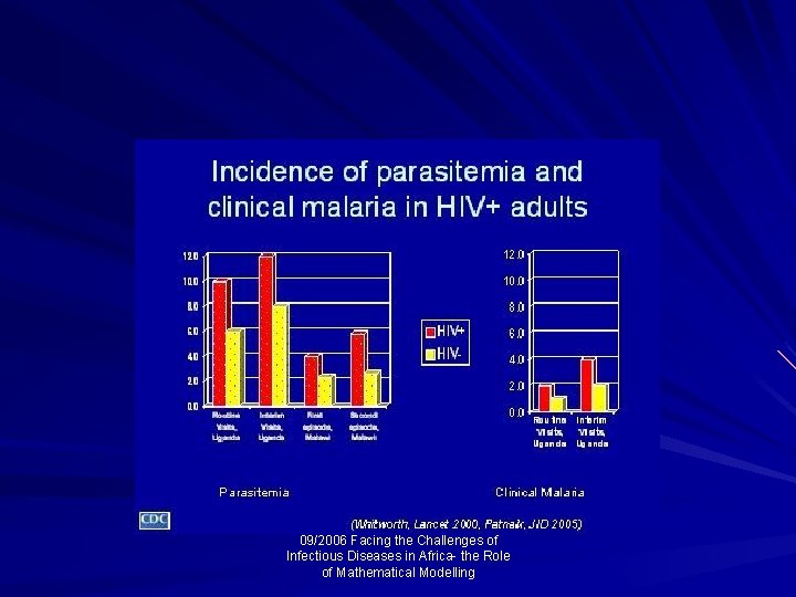 09/2006 Facing the Challenges of Infectious Diseases in Africa- the Role of Mathematical Modelling