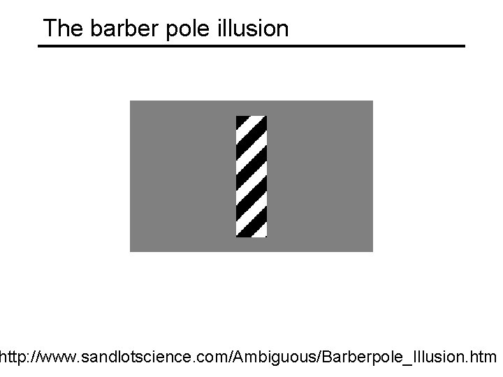 The barber pole illusion http: //www. sandlotscience. com/Ambiguous/Barberpole_Illusion. htm 