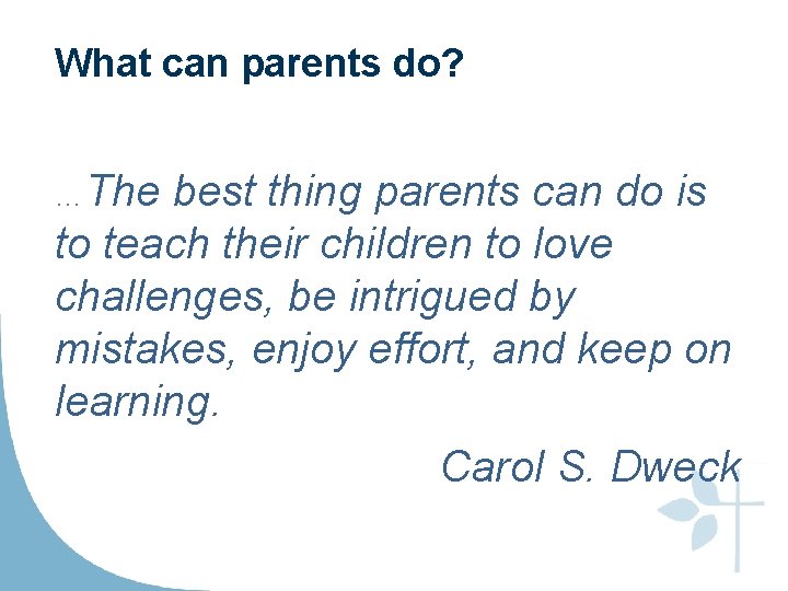 What can parents do? …The best thing parents can do is to teach their