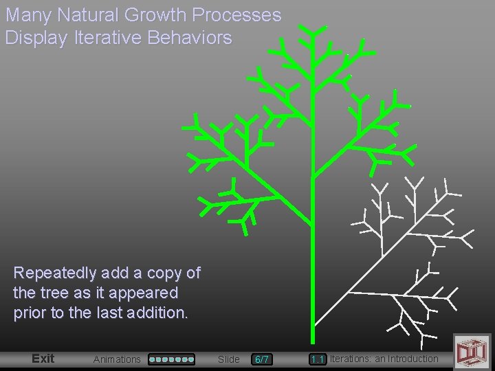 Many Natural Growth Processes Display Iterative Behaviors Repeatedly add a copy of the tree