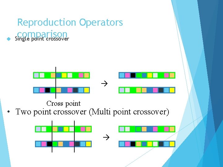  Reproduction Operators comparison Single point crossover Cross point • Two point crossover (Multi