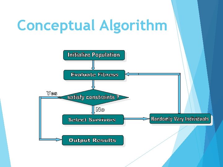 Conceptual Algorithm 
