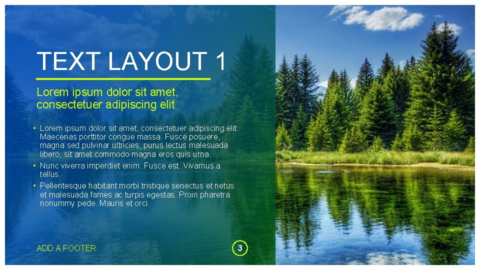 TEXT LAYOUT 1 Lorem ipsum dolor sit amet, consectetuer adipiscing elit • Lorem ipsum