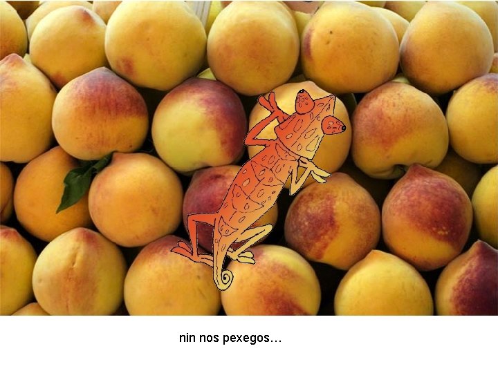 nin nos pexegos… 