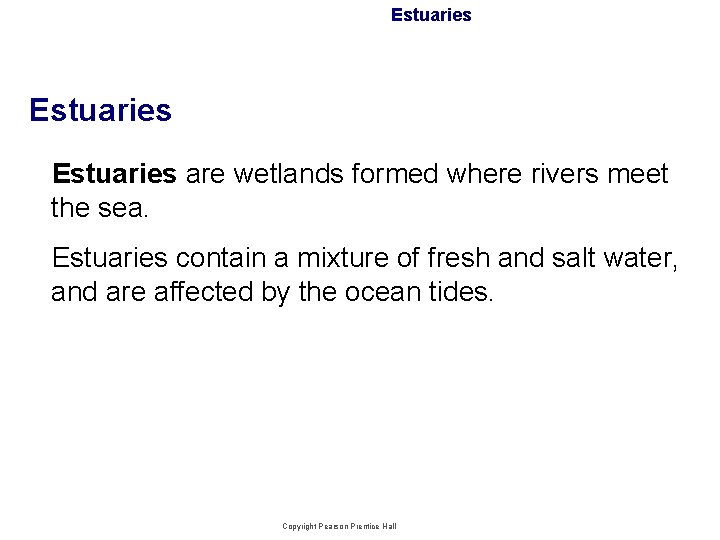 Estuaries are wetlands formed where rivers meet the sea. Estuaries contain a mixture of