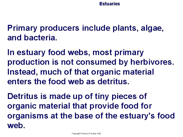 Estuaries Primary producers include plants, algae, and bacteria. In estuary food webs, most primary