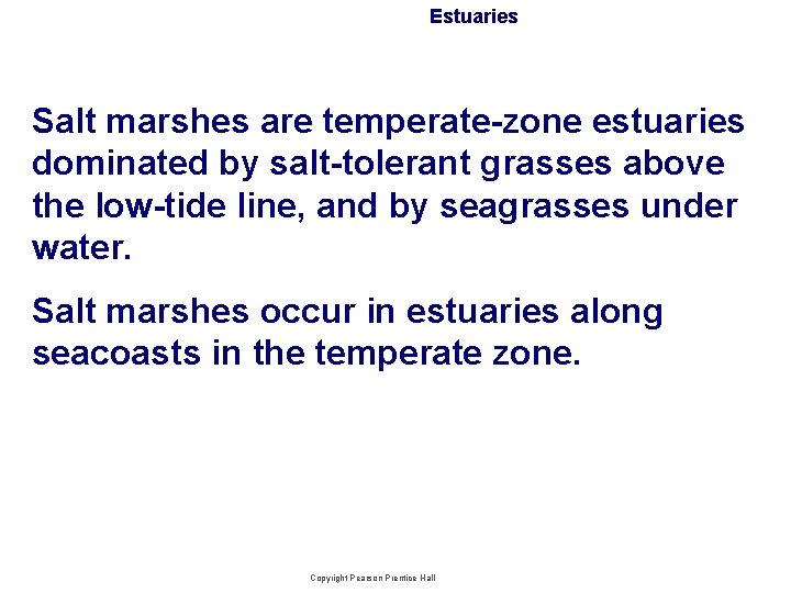 Estuaries Salt marshes are temperate-zone estuaries dominated by salt-tolerant grasses above the low-tide line,