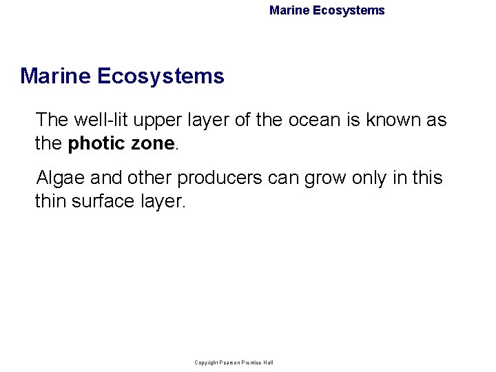 Marine Ecosystems The well-lit upper layer of the ocean is known as the photic