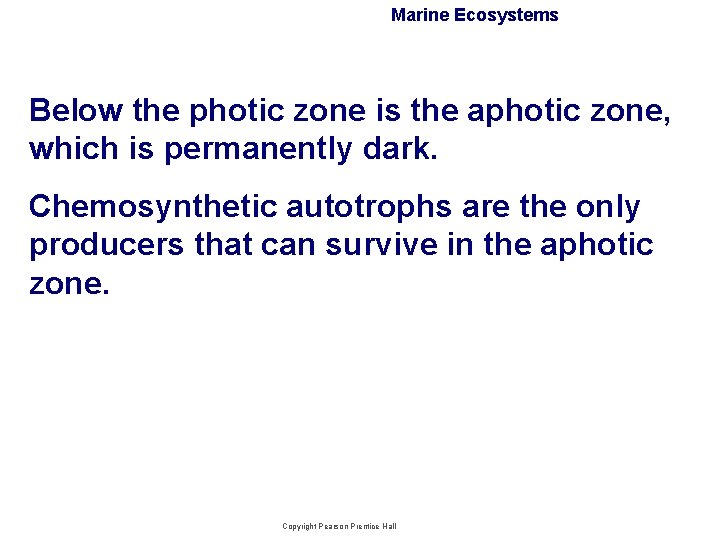Marine Ecosystems Below the photic zone is the aphotic zone, which is permanently dark.