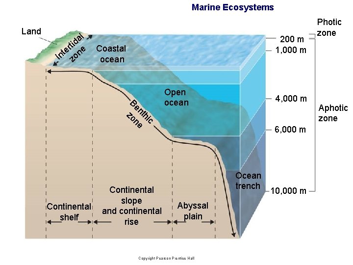 Marine Ecosystems Land l a tid r te one n I z 200 m