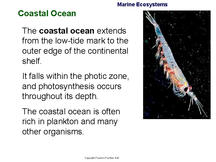Marine Ecosystems Coastal Ocean The coastal ocean extends from the low-tide mark to the