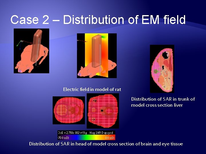 Case 2 – Distribution of EM field Electric field in model of rat Distribution