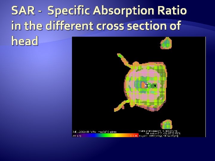 SAR - Specific Absorption Ratio in the different cross section of head 