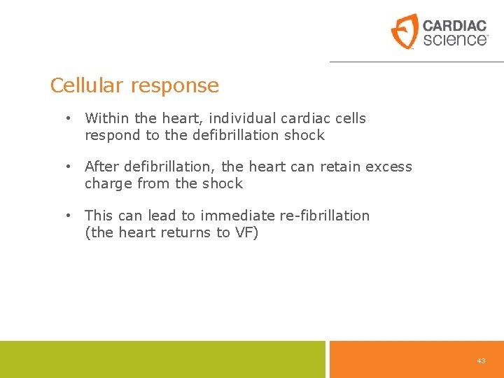 Cellular response • Within the heart, individual cardiac cells respond to the defibrillation shock