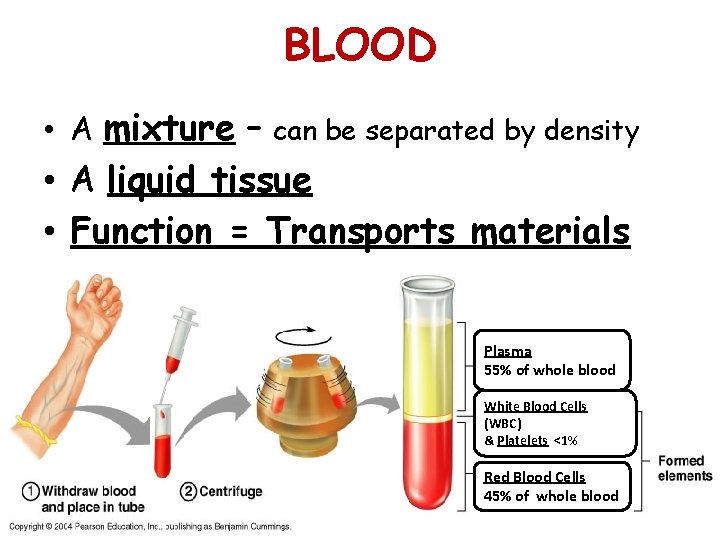 BLOOD • A mixture – can be separated by density • A liquid tissue