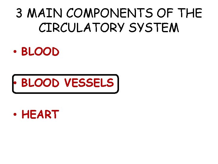 3 MAIN COMPONENTS OF THE CIRCULATORY SYSTEM • BLOOD VESSELS • HEART 