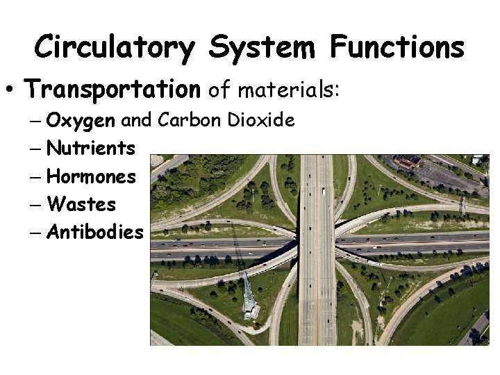 Circulatory System Functions • Transportation of materials: – Oxygen and Carbon Dioxide – Nutrients