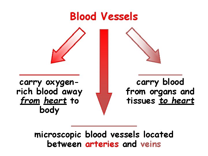 Blood Vessels ______ carry oxygencarry blood rich blood away from organs and from heart