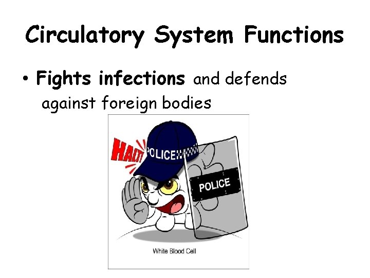 Circulatory System Functions • Fights infections and defends against foreign bodies 