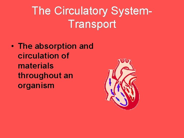 The Circulatory System. Transport • The absorption and circulation of materials throughout an organism