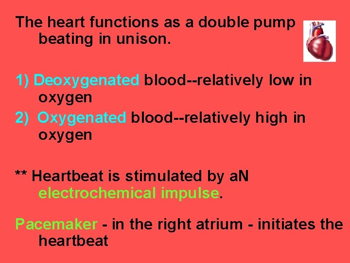 The heart functions as a double pump beating in unison. 1) Deoxygenated blood--relatively low
