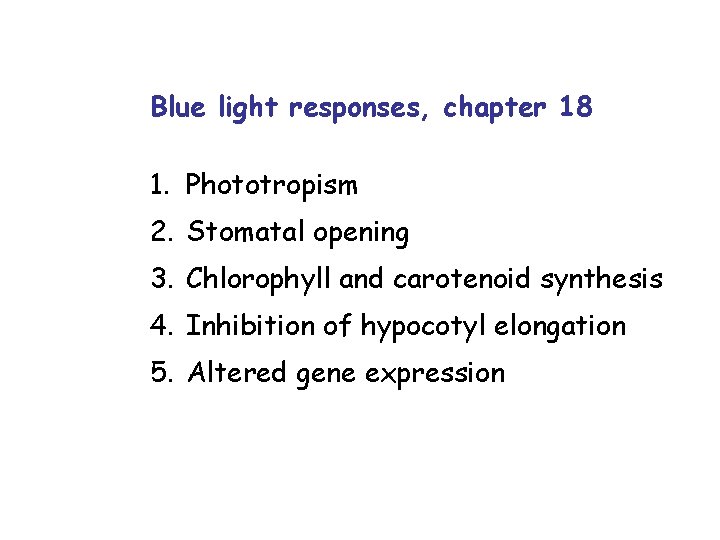 Blue light responses, chapter 18 1. Phototropism 2. Stomatal opening 3. Chlorophyll and carotenoid