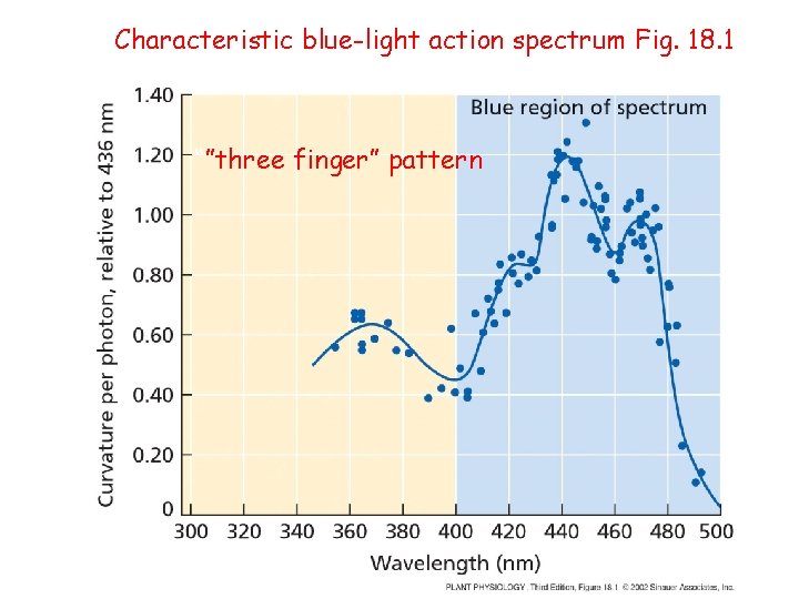 Characteristic blue-light action spectrum Fig. 18. 1 “”three finger” pattern 