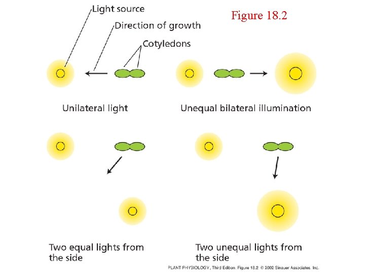 Figure 18. 2 