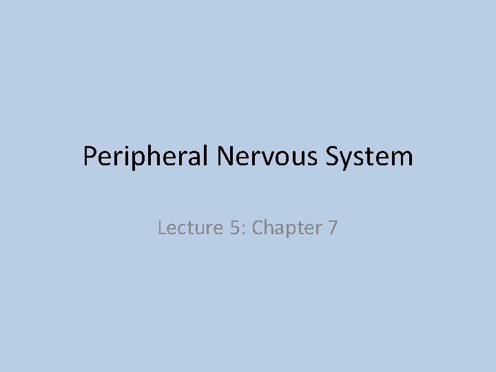 Peripheral Nervous System Lecture 5: Chapter 7 