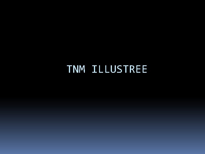 TNM ILLUSTREE 