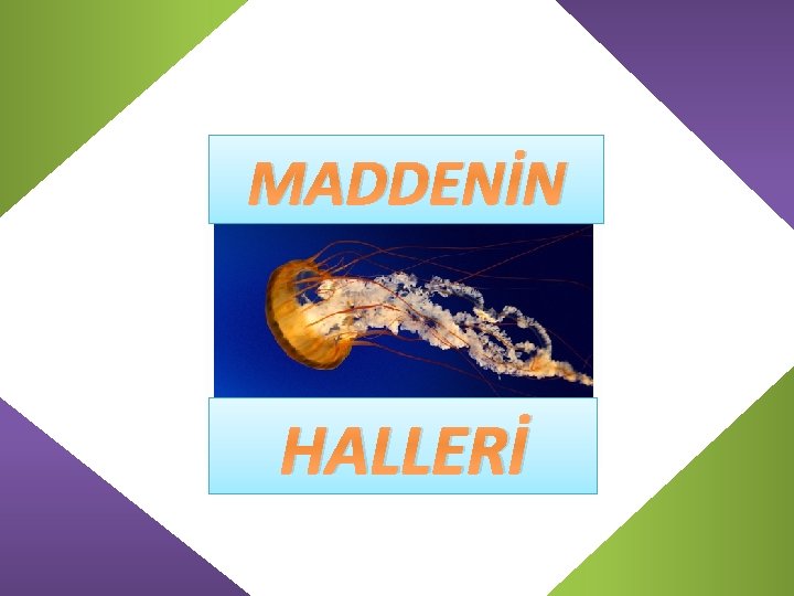 MADDENİN HALLERİ 