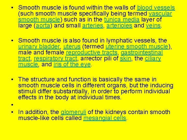  • Smooth muscle is found within the walls of blood vessels (such smooth