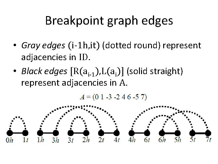 Breakpoint graph edges • Gray edges (i-1 h, it) (dotted round) represent adjacencies in