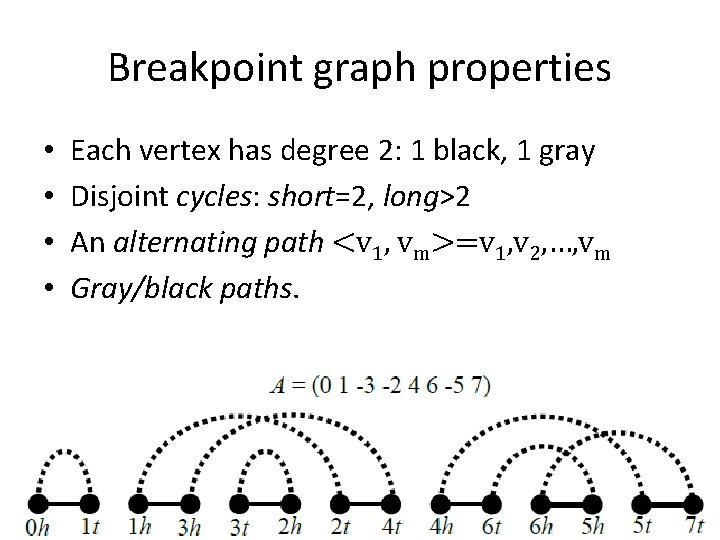Breakpoint graph properties • • Each vertex has degree 2: 1 black, 1 gray